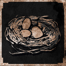 Don’t disturb the Birds