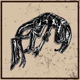 Icon for Necessary surgery