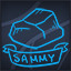 Icon for Special Sammy