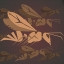 Pest Control Specialist 2/2