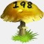 Mushrooms Collected 198