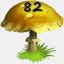 Mushrooms Collected 82
