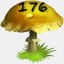 Mushrooms Collected 176