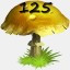Mushrooms Collected 125