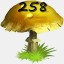 Mushrooms Collected 258