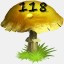 Mushrooms Collected 118