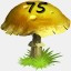Mushrooms Collected 75