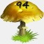 Mushrooms Collected 94