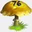Mushrooms Collected 76