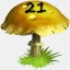 Mushrooms Collected 21