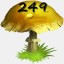 Mushrooms Collected 249