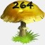 Mushrooms Collected 264