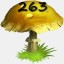 Mushrooms Collected 263