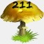 Mushrooms Collected 211