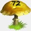 Mushrooms Collected 72