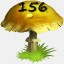 Mushrooms Collected 156