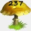 Mushrooms Collected 237