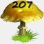 Mushrooms Collected 207