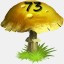 Mushrooms Collected 73