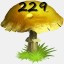 Mushrooms Collected 229