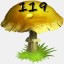 Mushrooms Collected 119