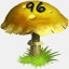 Mushrooms Collected 96
