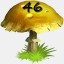 Mushrooms Collected 46