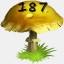 Mushrooms Collected 187