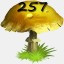 Mushrooms Collected 257