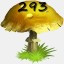 Mushrooms Collected 293