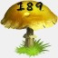 Mushrooms Collected 189