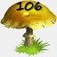 Mushrooms Collected 106