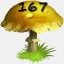 Mushrooms Collected 167
