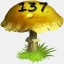 Mushrooms Collected 137