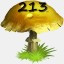 Mushrooms Collected 213