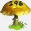 Mushrooms Collected 196