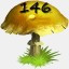 Mushrooms Collected 146