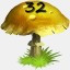 Mushrooms Collected 32