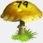 Mushrooms Collected 79