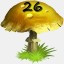 Mushrooms Collected 26