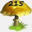 Mushrooms Collected 215