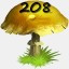 Mushrooms Collected 208