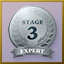 Stage 3 Expert