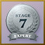 Stage 7 Expert
