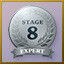 Stage 8 Expert