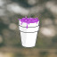 syrup