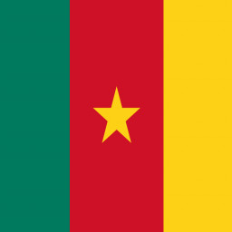National flag of  Cameroon