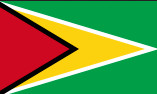 National flag of Guyana
