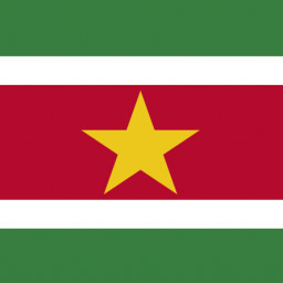 National flag of Suriname