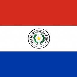 National flag of Paraguay